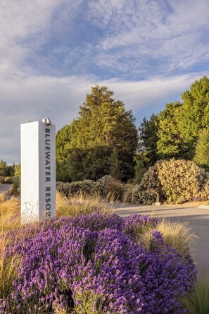 A sign for Bluewater Resort with surrounding greenery and purple flowers.