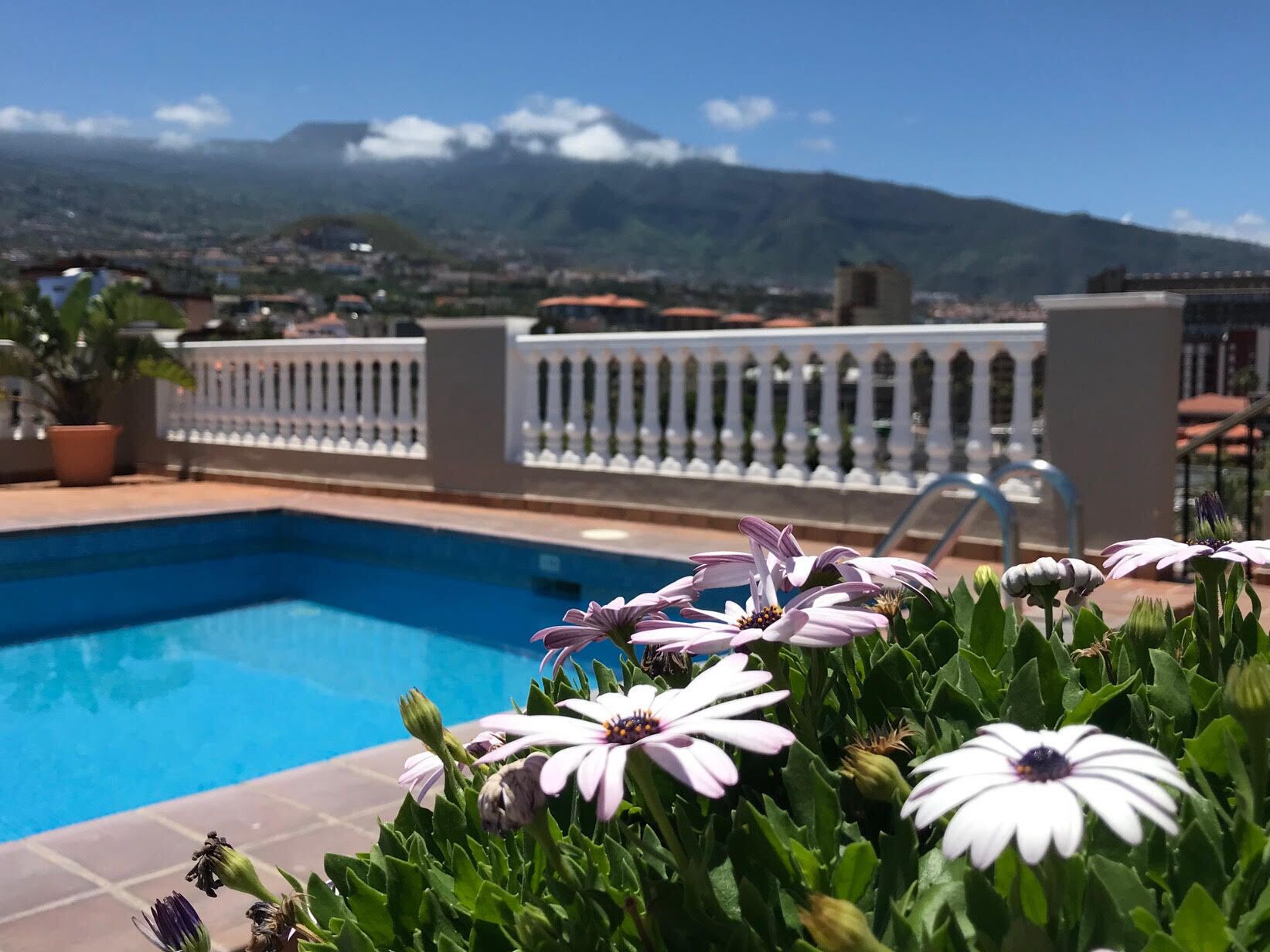 A swimming pool with a white railing and flowers in the foreground.