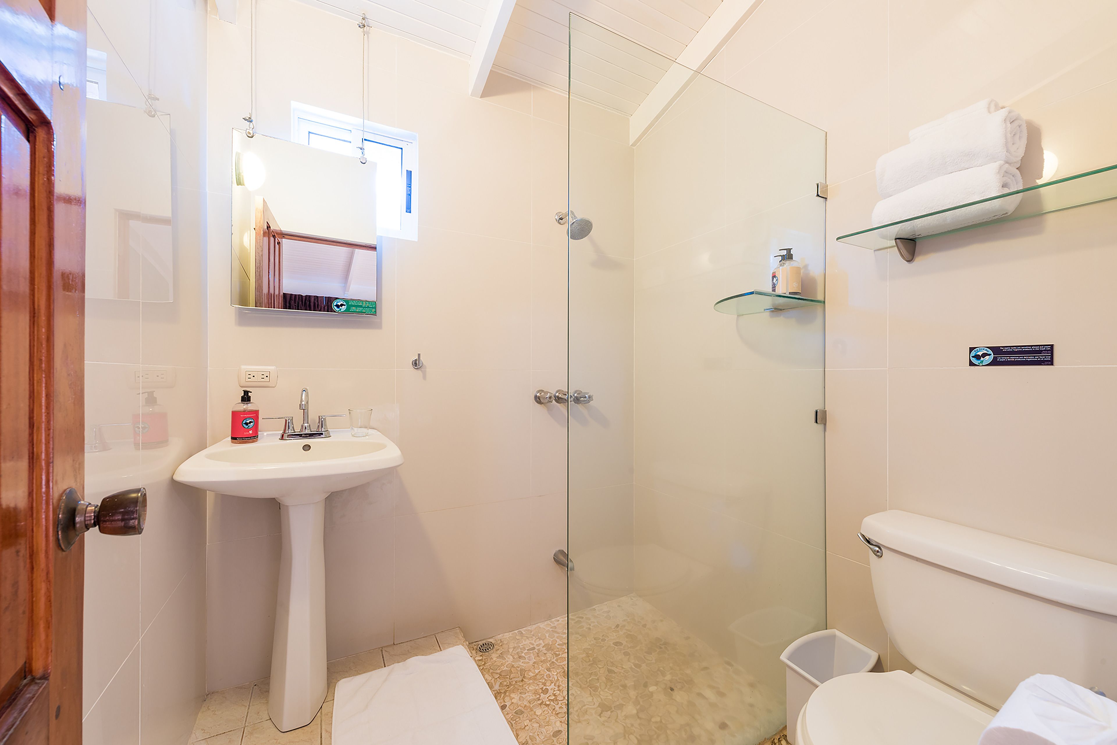 Une salle de bain avec une douche à parois de verre, un lavabo sur colonne et des toilettes.