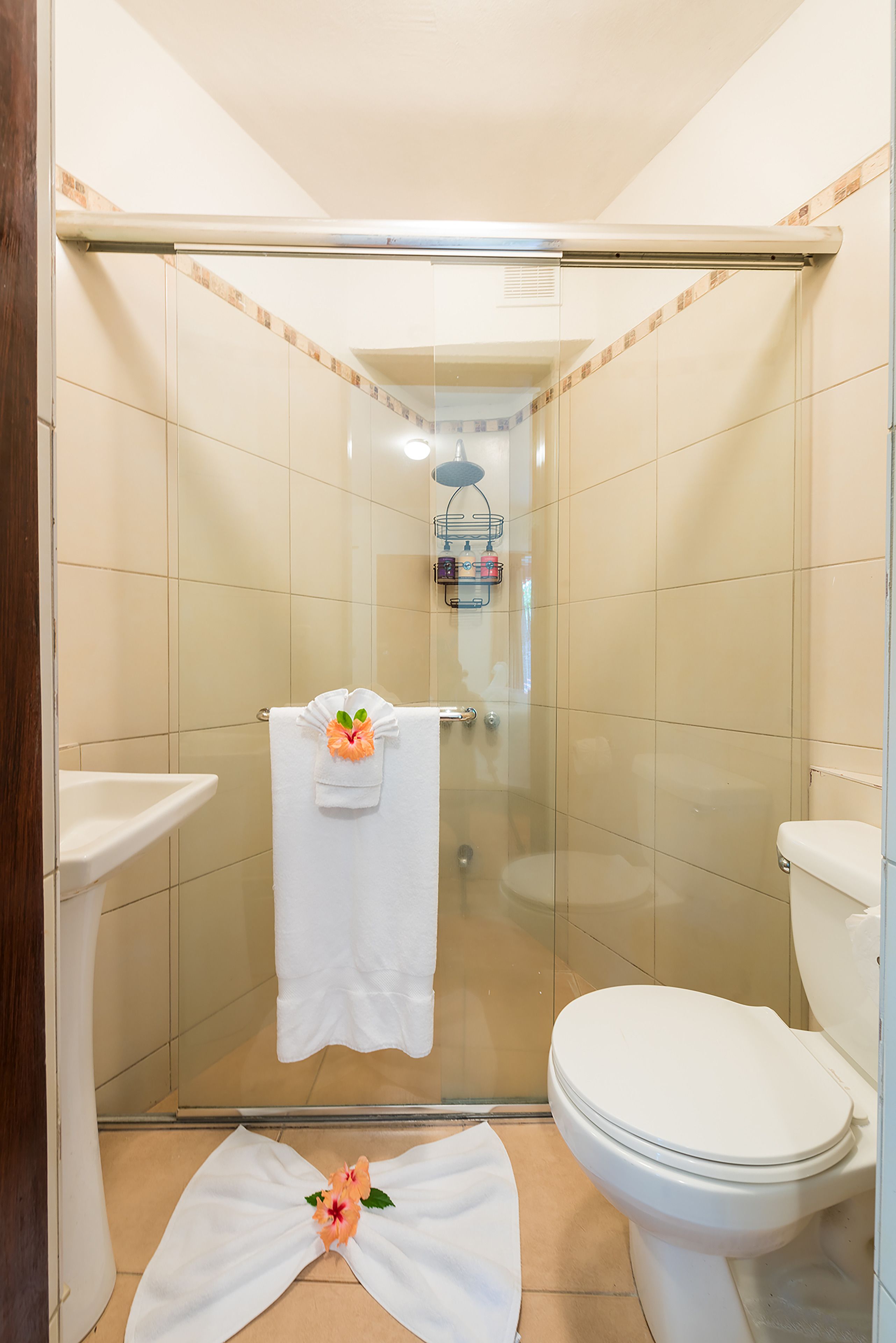 A bathroom with a glass shower enclosure, a white toilet, and a sink.