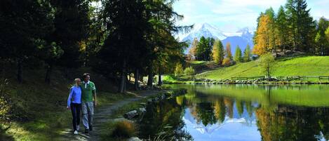 A serene lakeside path with a mountain backdrop, surrounded by lush greenery and trees.