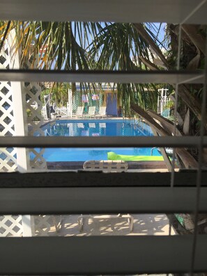 Standard Room, 1 King Bed | View from room