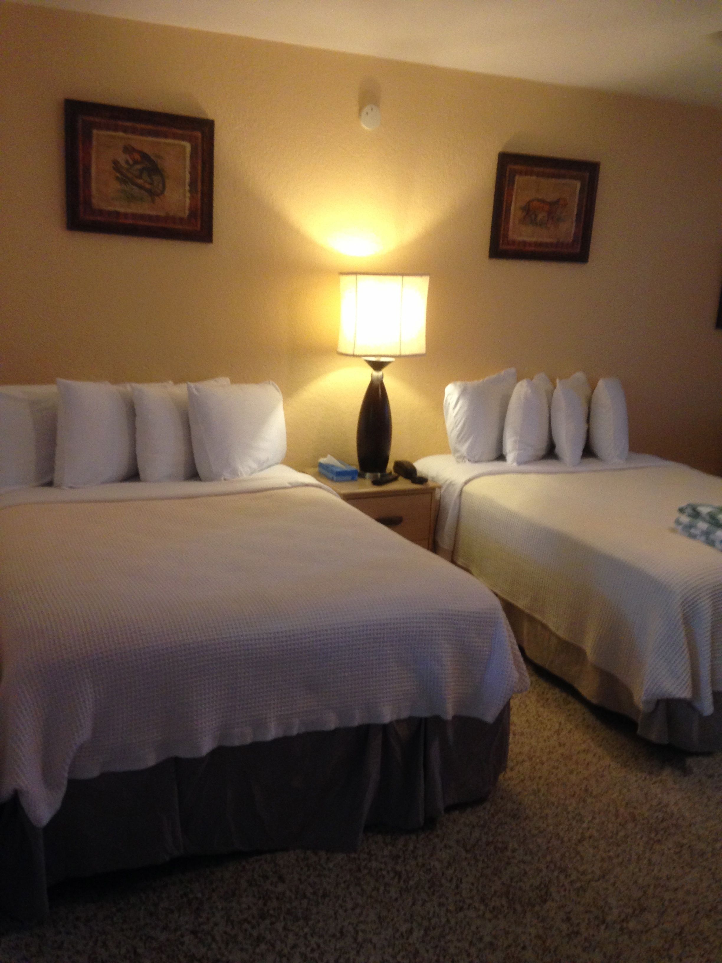 Monolocale, 2 letti matrimoniali, cucina | Vista dalla camera