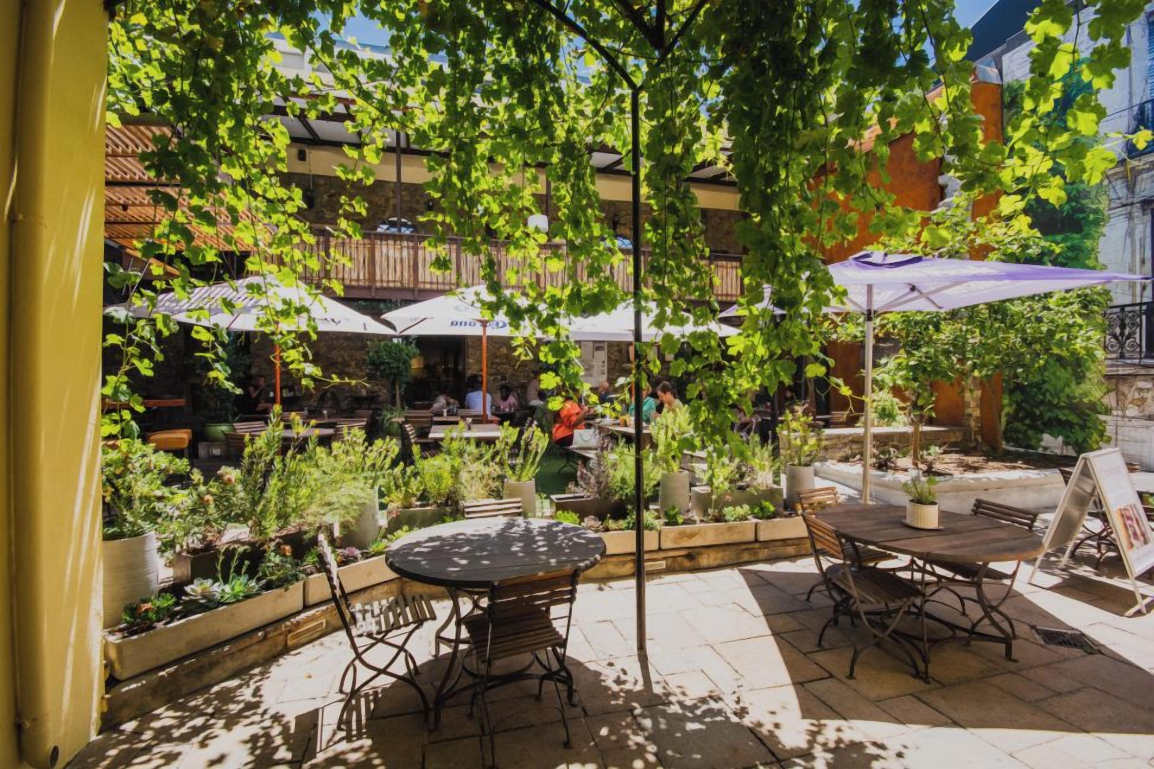 Un patio al aire libre con mesas y sillas, rodeado de plantas en macetas y sombrillas.