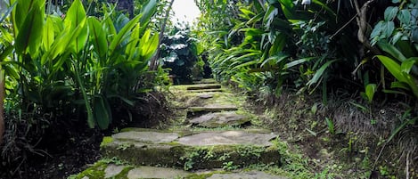 Vue depuis l’hébergement