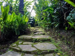A stone staircase surrounded by lush greenery. - Hotel Le Bergerac (San José)