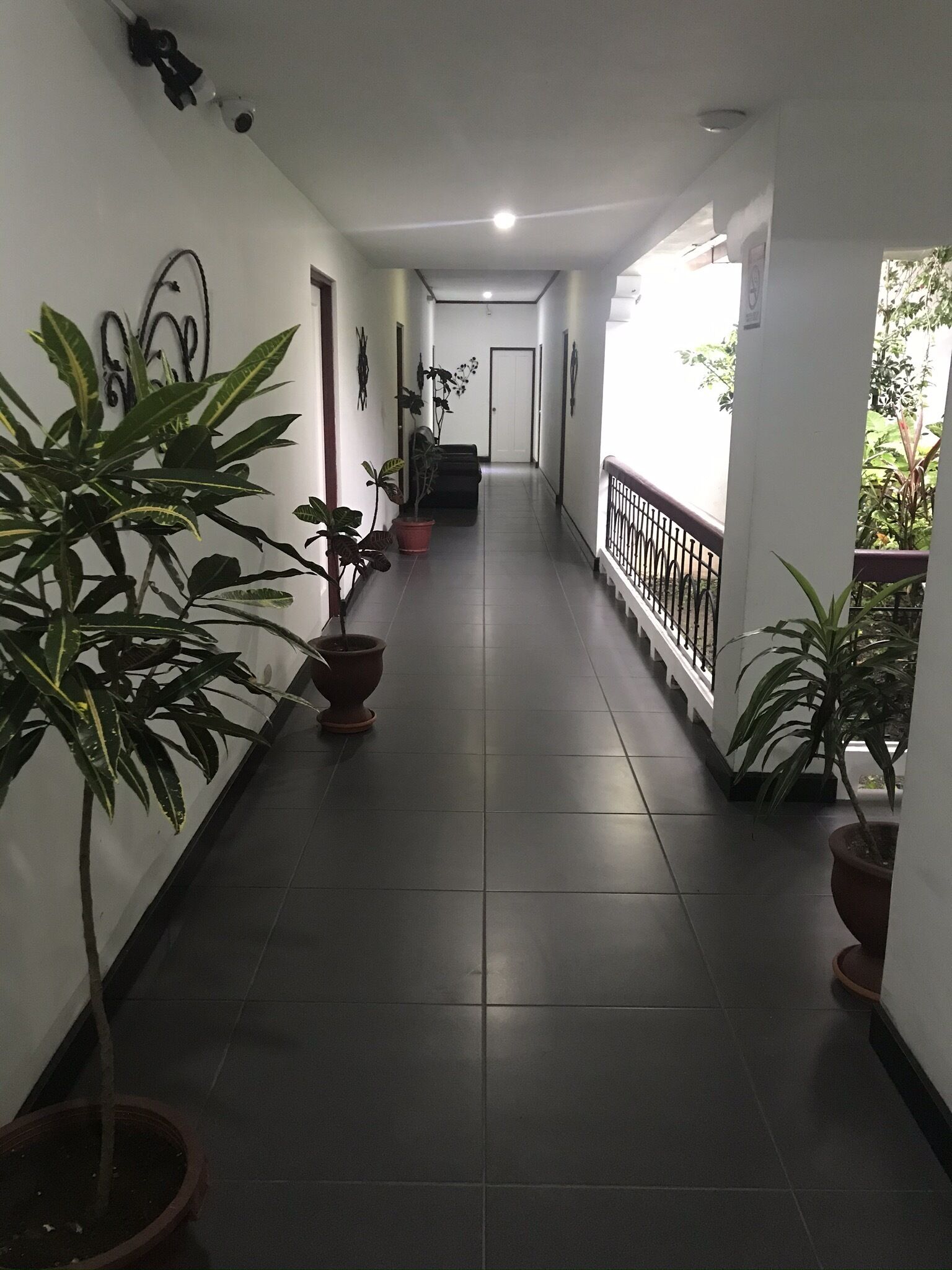 Un corridoio con piante in vaso, una scala e una porta in fondo.