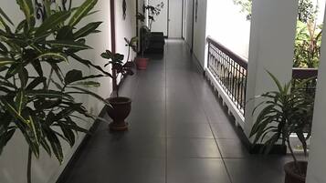 Un corridoio con piante in vaso, una scala e una porta in fondo.