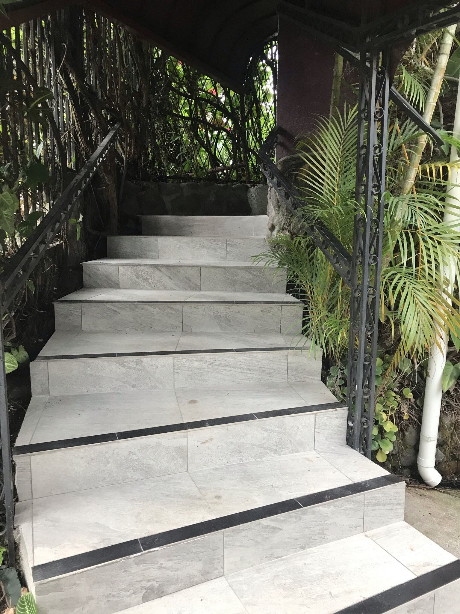 A staircase with stone steps and black borders, surrounded by greenery and a metal railing.