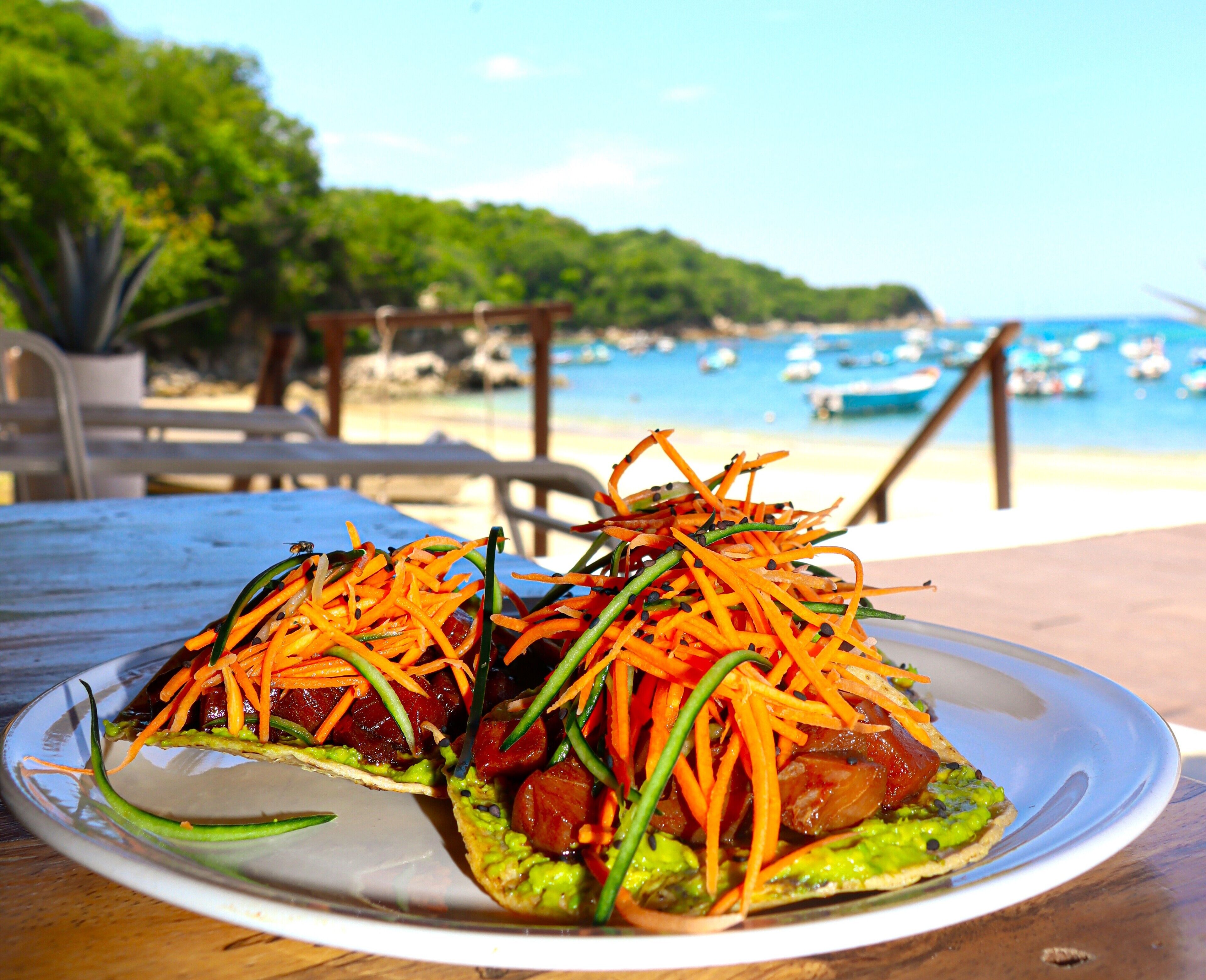 A plate of food with avocado and vegetables on a table with a view of a beach and boats in the background.