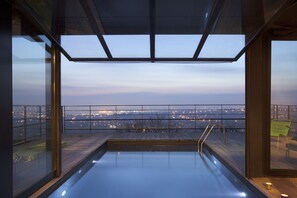 A rooftop infinity pool with a city view, wooden deck, and glass railings.