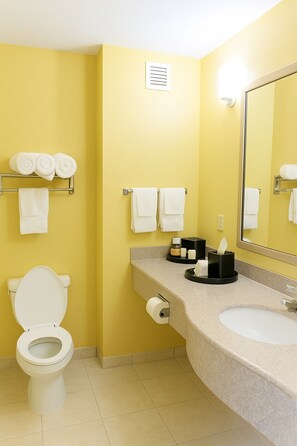 Combined shower/tub, deep soaking tub, free toiletries, hair dryer - Ambassador Inn and Suites Tuscaloosa (Tuscaloosa)