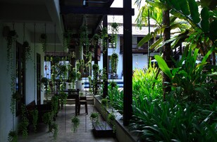 A covered outdoor area with hanging plants and a wooden bench.
