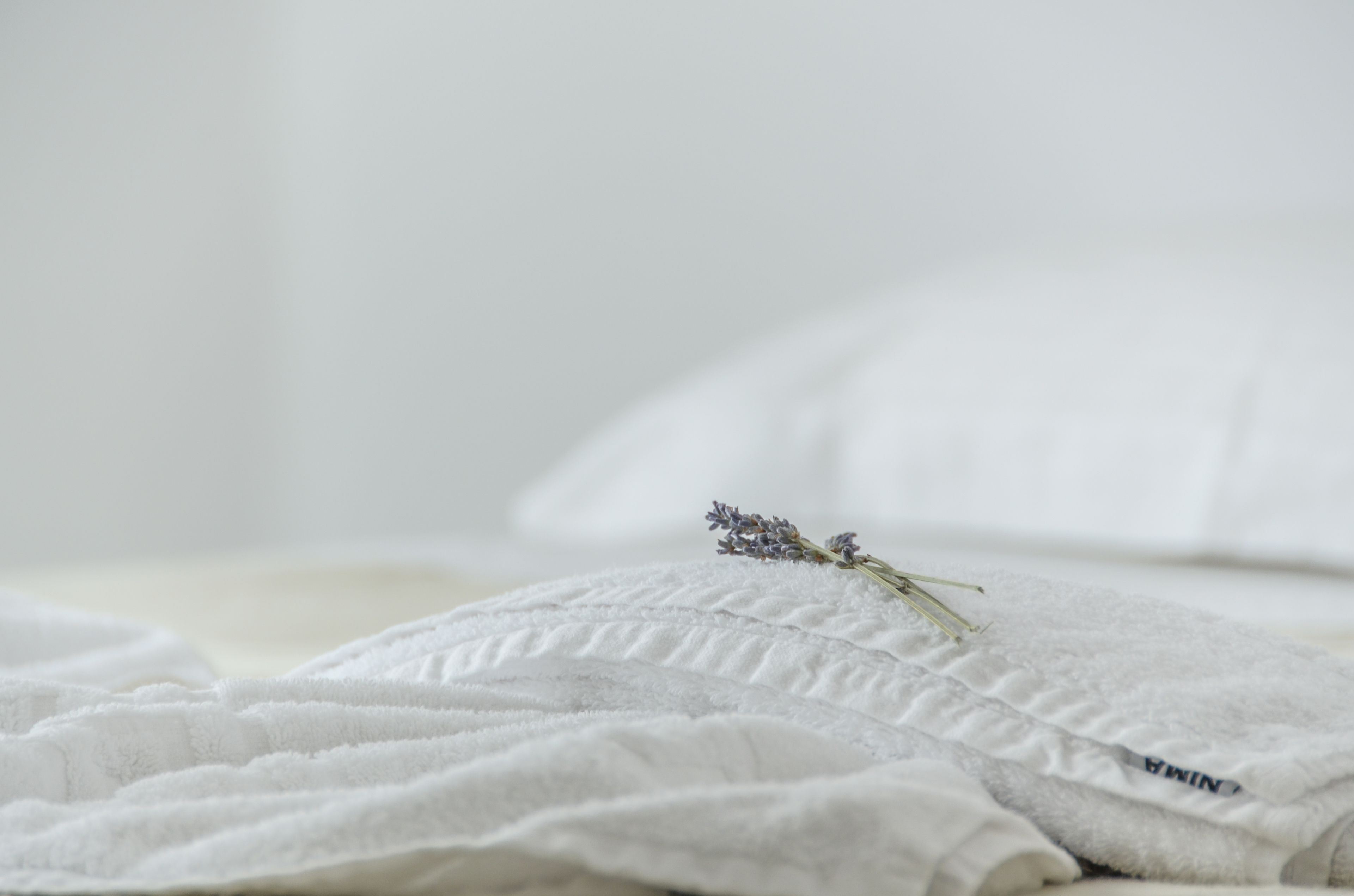 honeymoon room | 1 bedroom, egyptian cotton sheets, select comfort beds, in-room safe