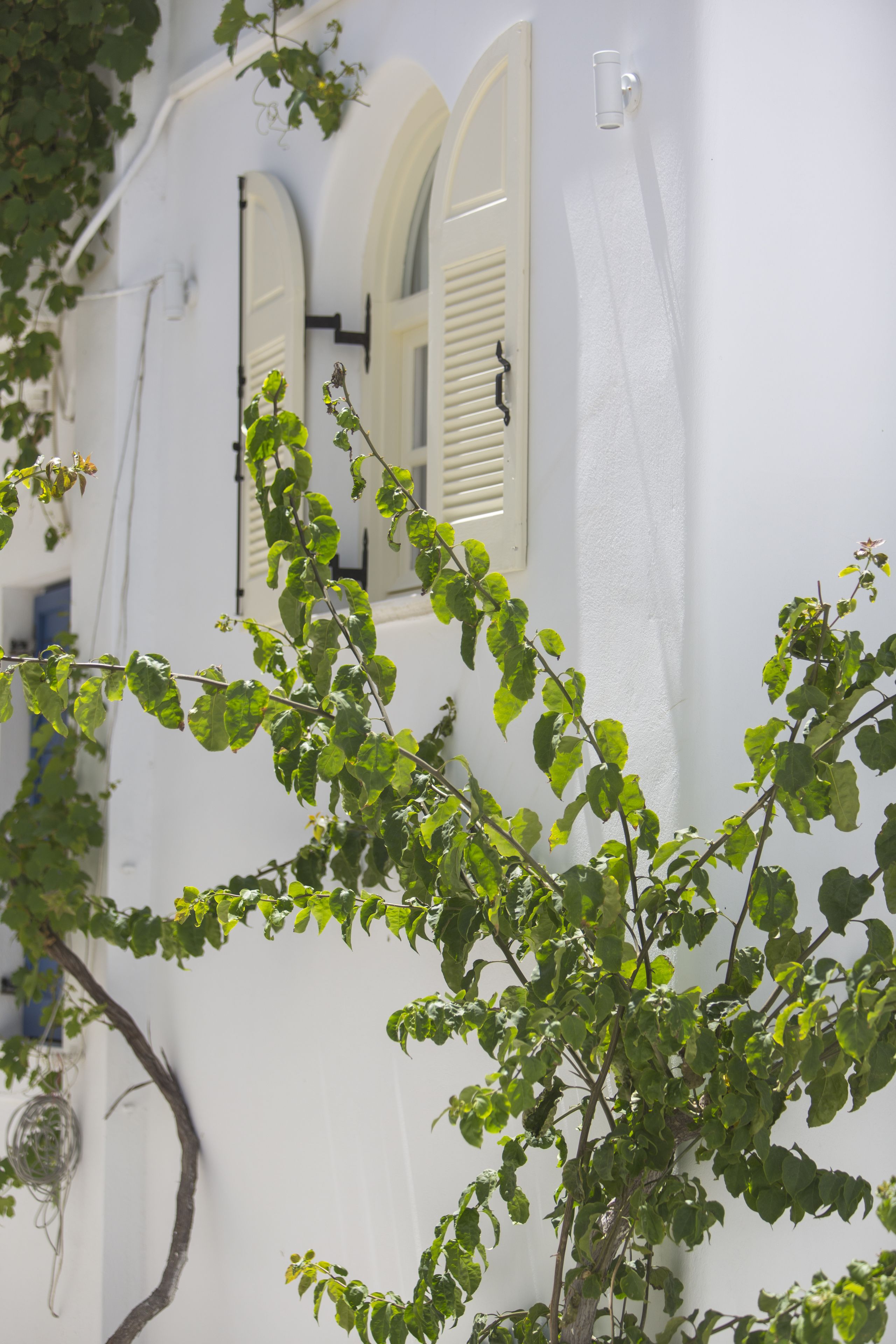 single room (no balcony) | view from room