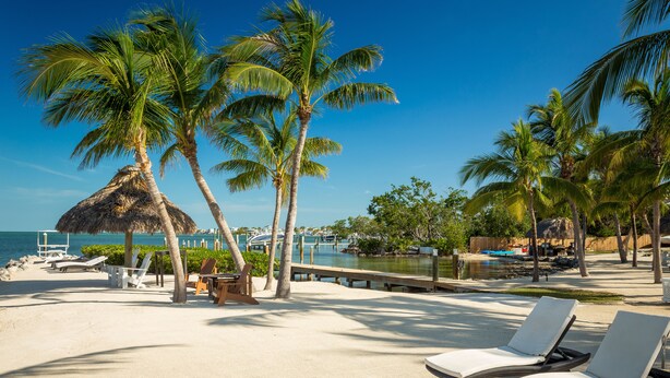 Une plage avec des chaises longues, des palmiers et une vue sur l’eau.