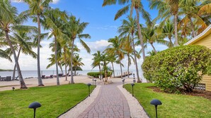Un sentier pavé, bordé de palmiers, mène à une zone de plage aménagée avec des chaises longues et offrant une vue sur l’océan.