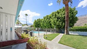 A pool area with a fenced pool, a palm tree, and a mountain in the background.