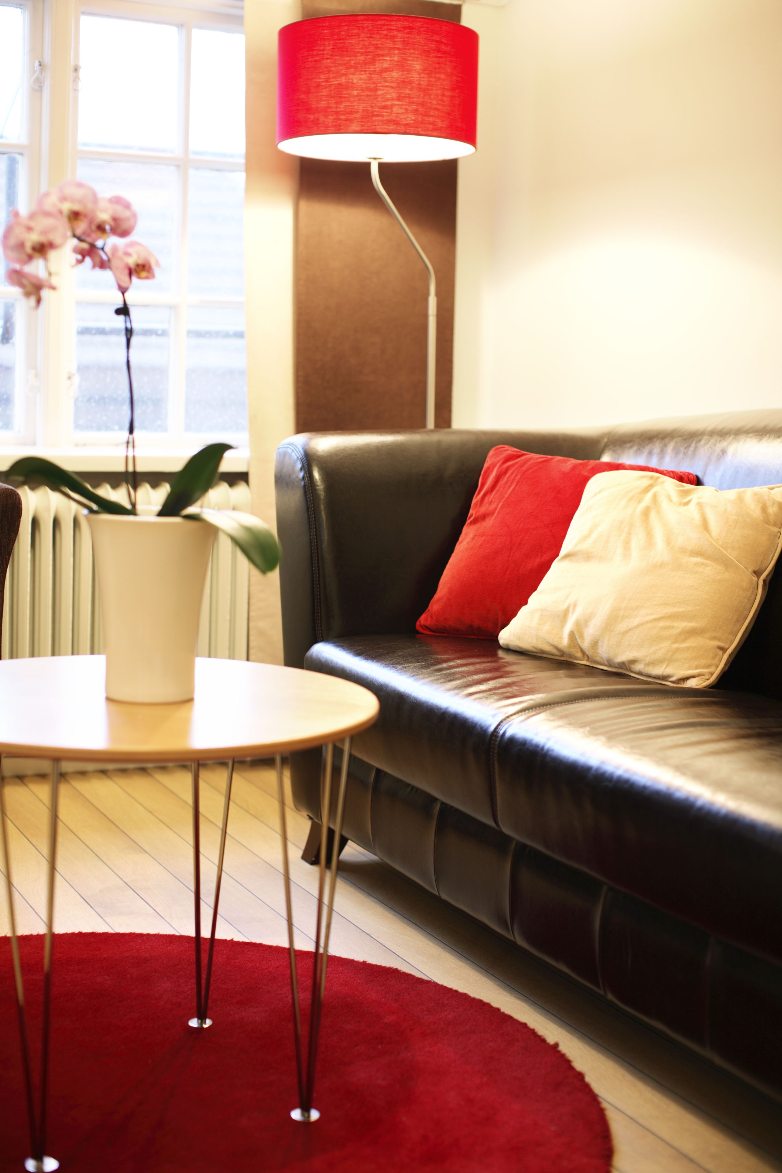 A living room with a leather sofa, red and beige cushions, a red rug, a white table with a potted plant, and a red floor lamp.