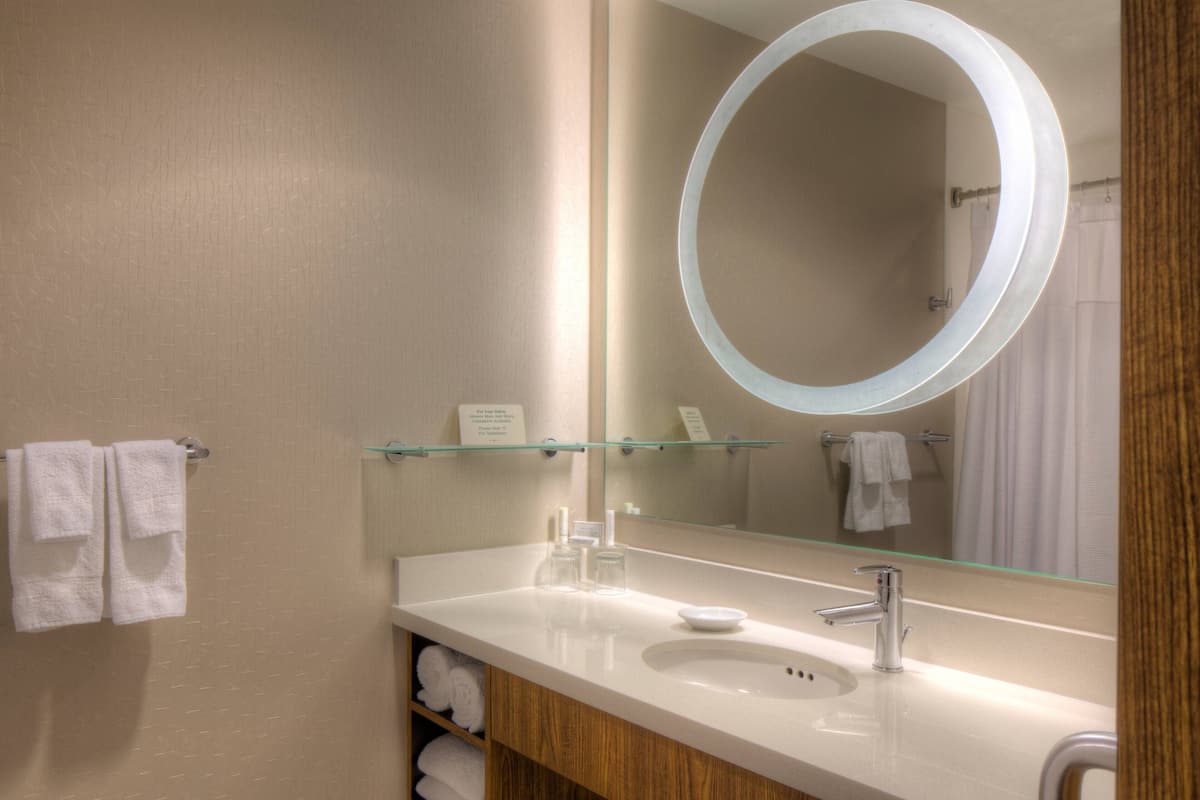 combined shower/bathtub, free toiletries, hair dryer, towels
