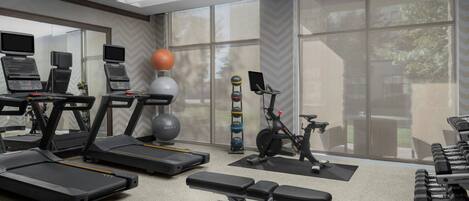 A gym with treadmills, a stationary bike, a rowing machine, dumbbells, and exercise balls.