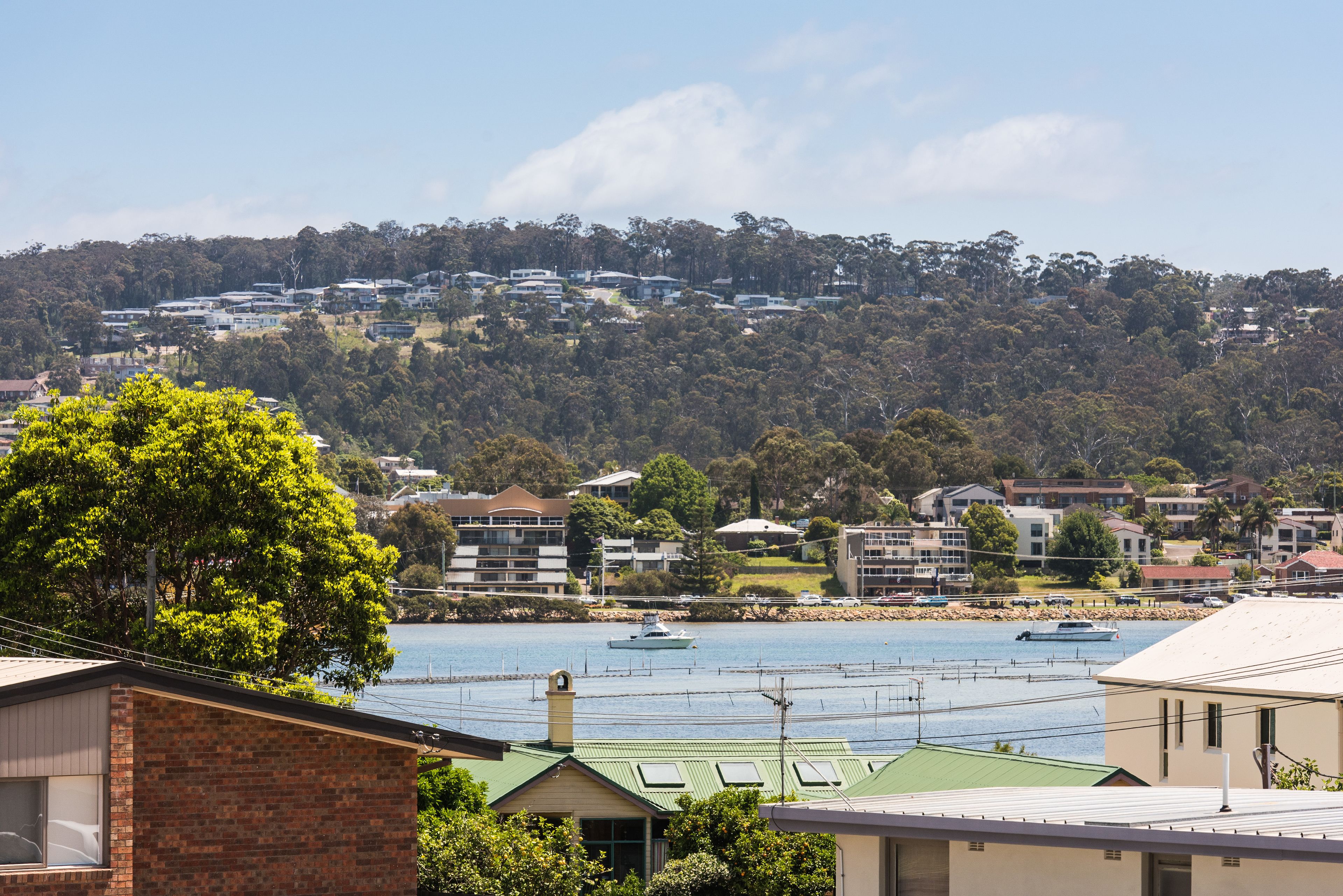 A coastal residential area with houses, a hill with trees, and boats on the water.
