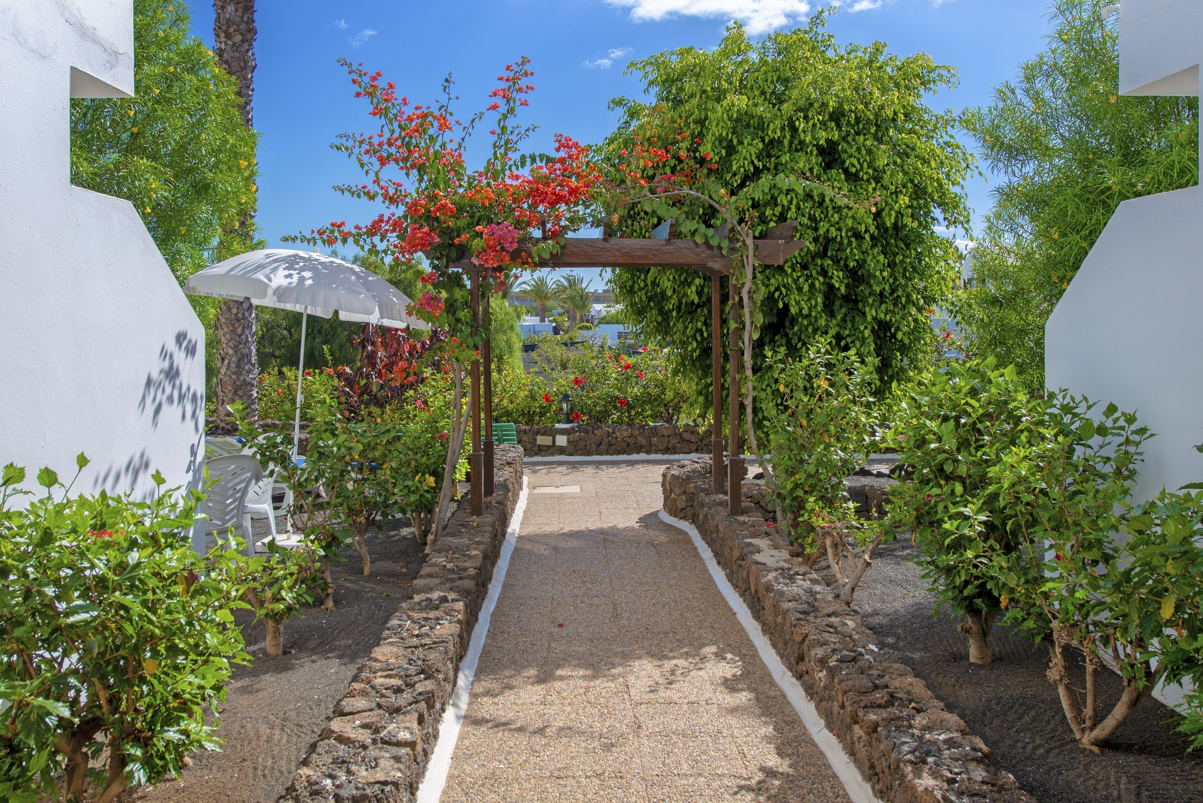 Un sendero en un jardín con un pérgola, muros de piedra y diversas plantas.