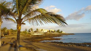 Una playa con una palmera, costa rocosa y edificios al fondo.