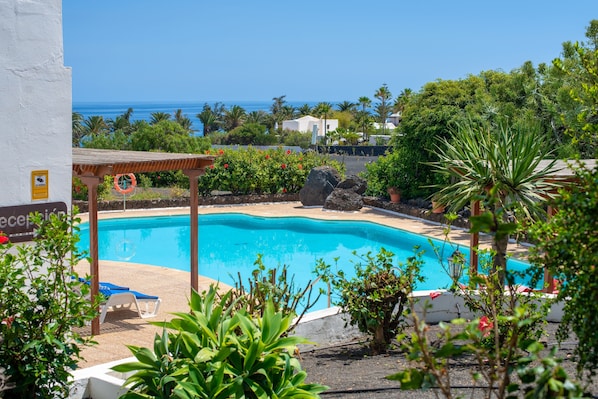 Outdoor pool, open 9:00 AM to 7:00 PM, pool umbrellas, pool loungers