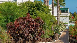 Un sendero bordeado de plantas y palmeras que conduce a un edificio blanco con balcón.