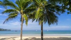 Een strand met palmbomen en een helderblauwe lucht.