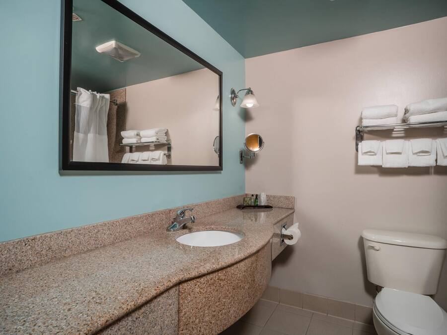 Une salle de bain avec un lavabo doté d’un plan de travail en granit, un miroir, un porte-serviettes et des toilettes.