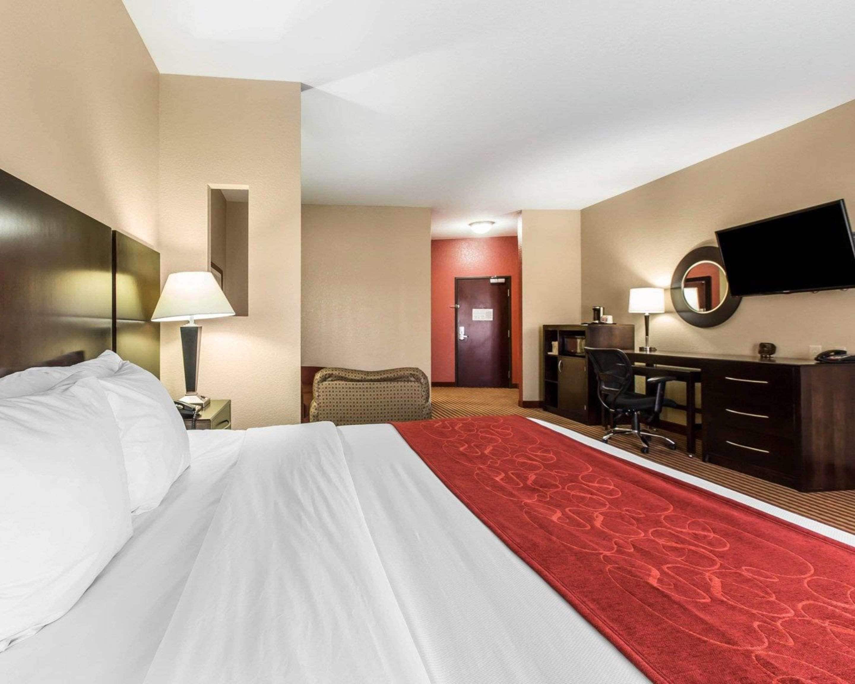 A hotel room with a large bed, a desk, a chair, a TV, and a red carpet.