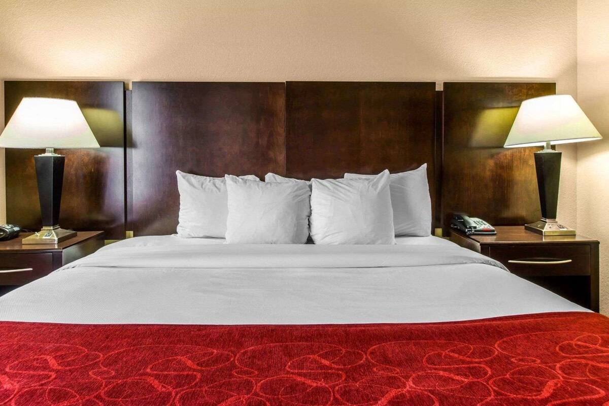 Quarto de hotel com uma cama grande, duas mesas de cabeceira com luminárias e um tapete vermelho estampado.
