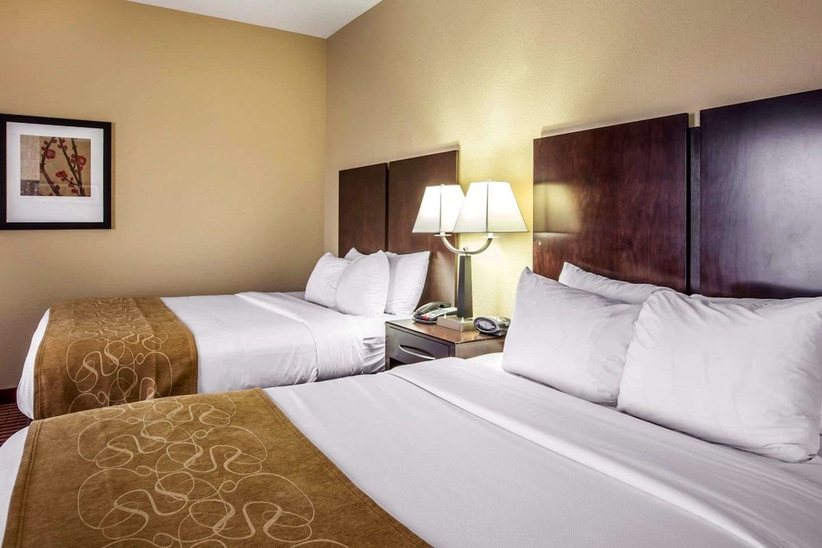 Quarto de hotel com duas camas, cada uma com roupa de cama branca e mantas marrons. Há uma mesa de cabeceira com uma luminária e um telefone.