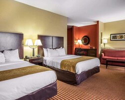 Sábanas de algodón egipcio y ropa de cama hipoalergénica