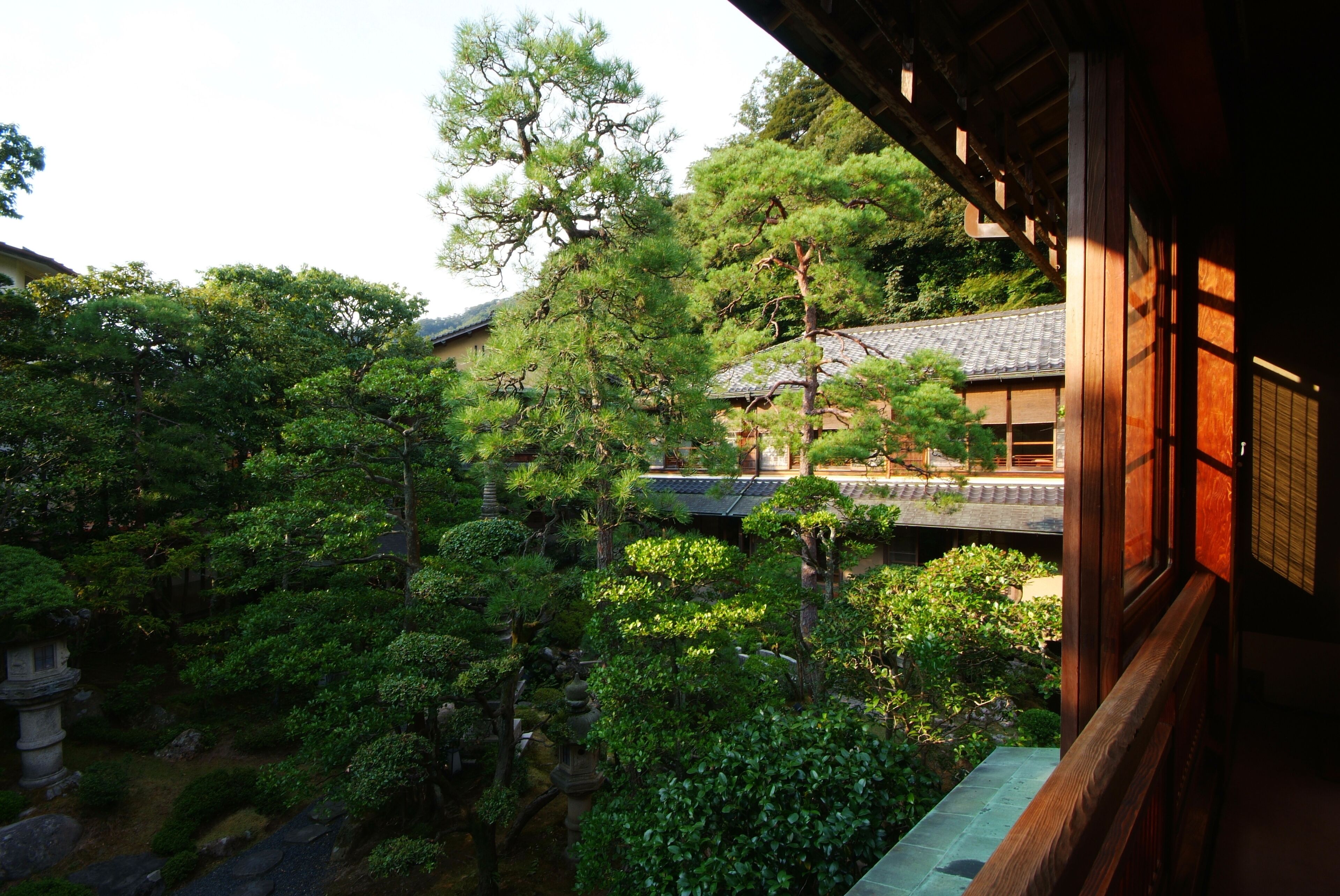 A traditional Japanese building with a wooden exterior and a view of a lush garden with various trees and a stone lantern.