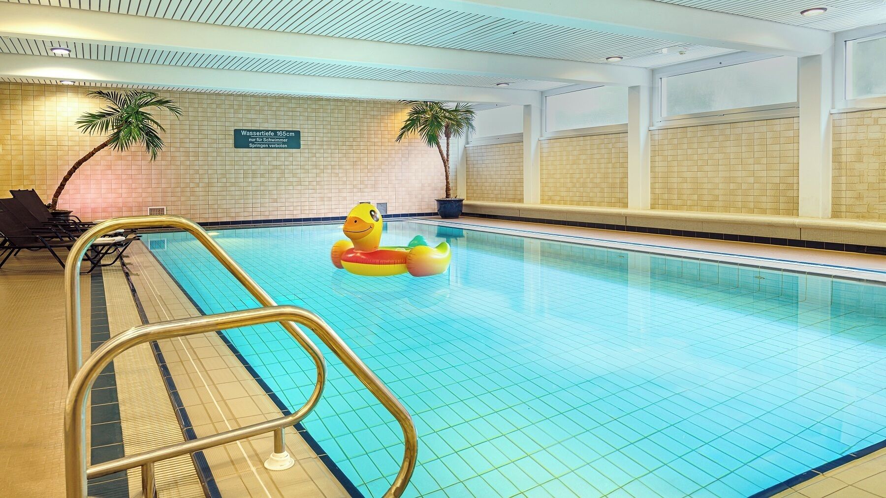 Alberca techada, acceso de 06:00 a 22:00, y camastros 