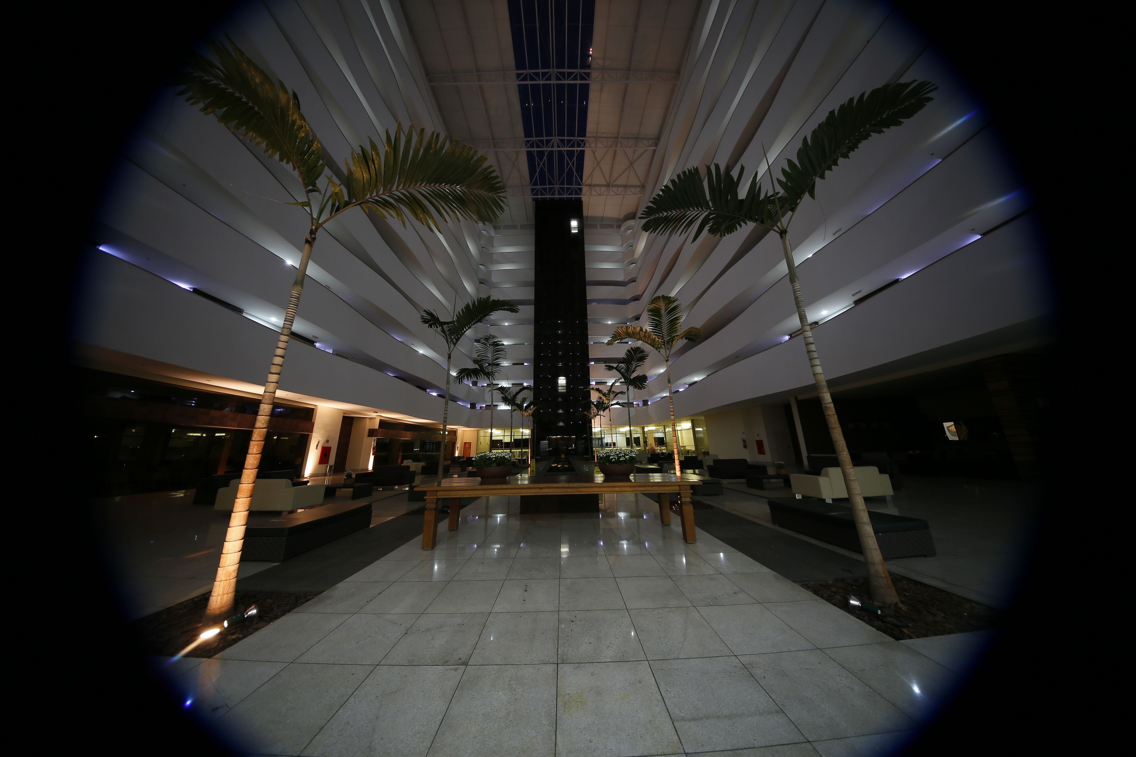 A modern lobby with a high ceiling, palm trees, and a central staircase.
