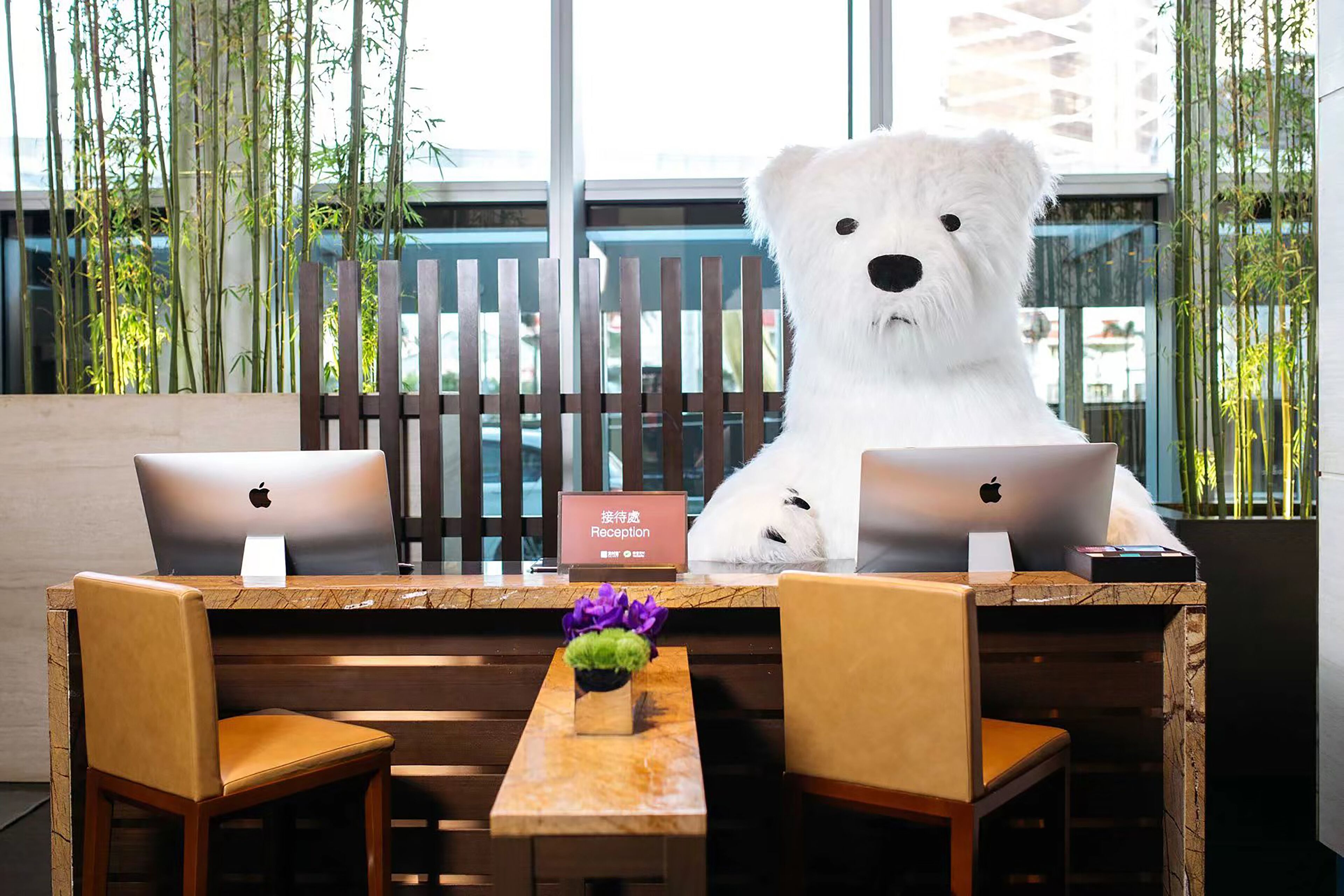 children’s activities