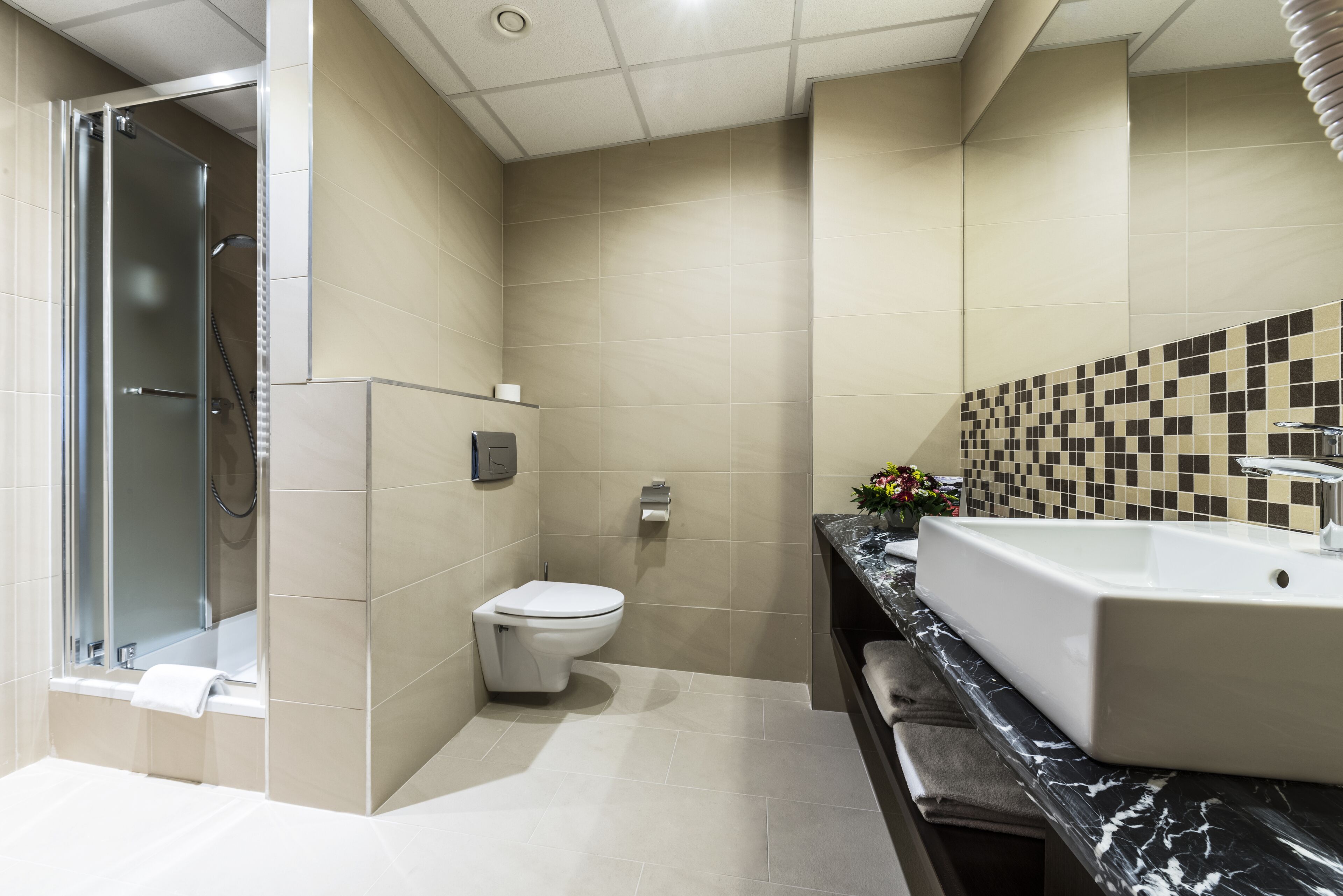 Foto - Hotel Victor Pruszków DeSilva