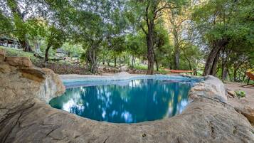 Outdoor pool, pool loungers