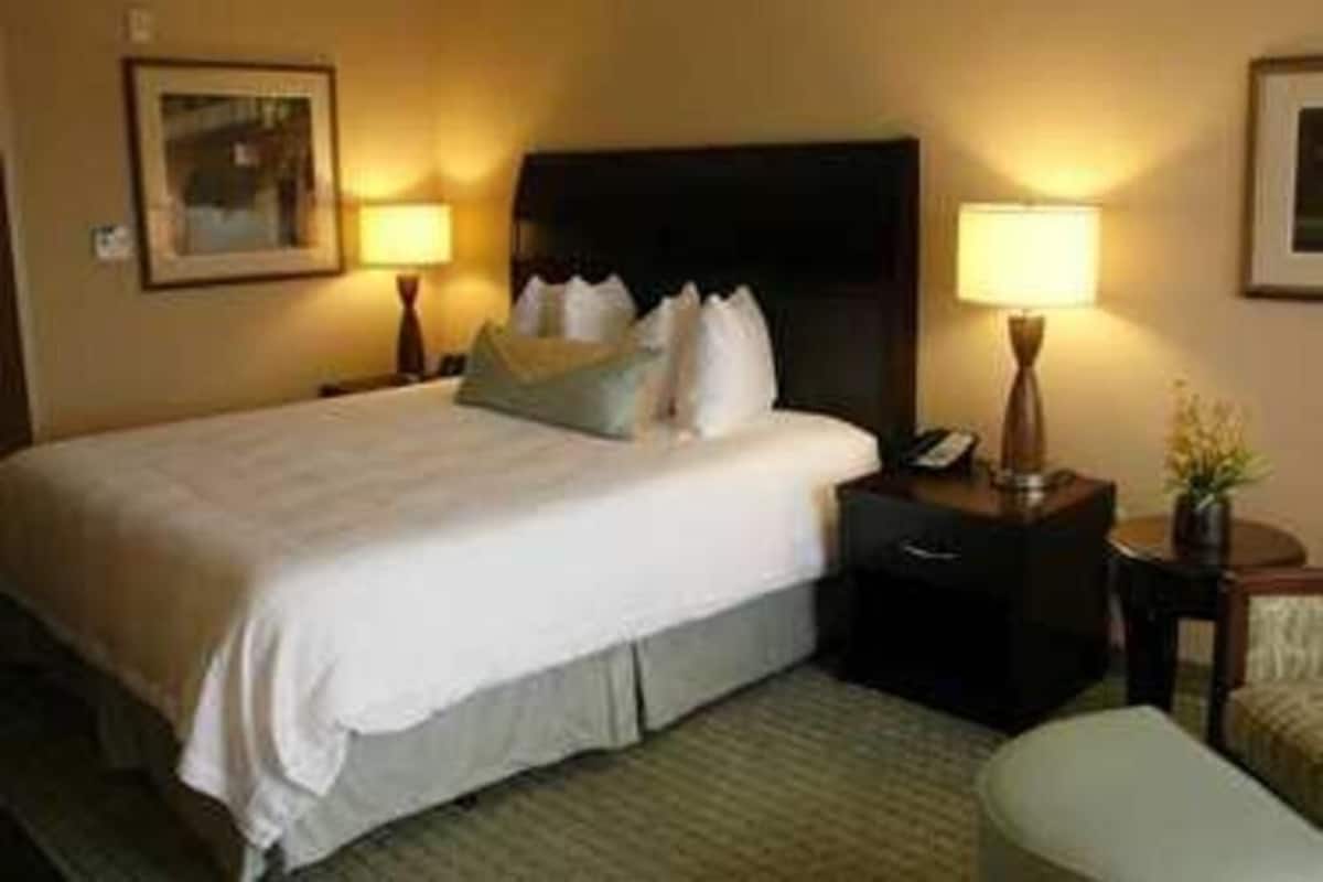 In-room safe, desk, iron/ironing board, free WiFi