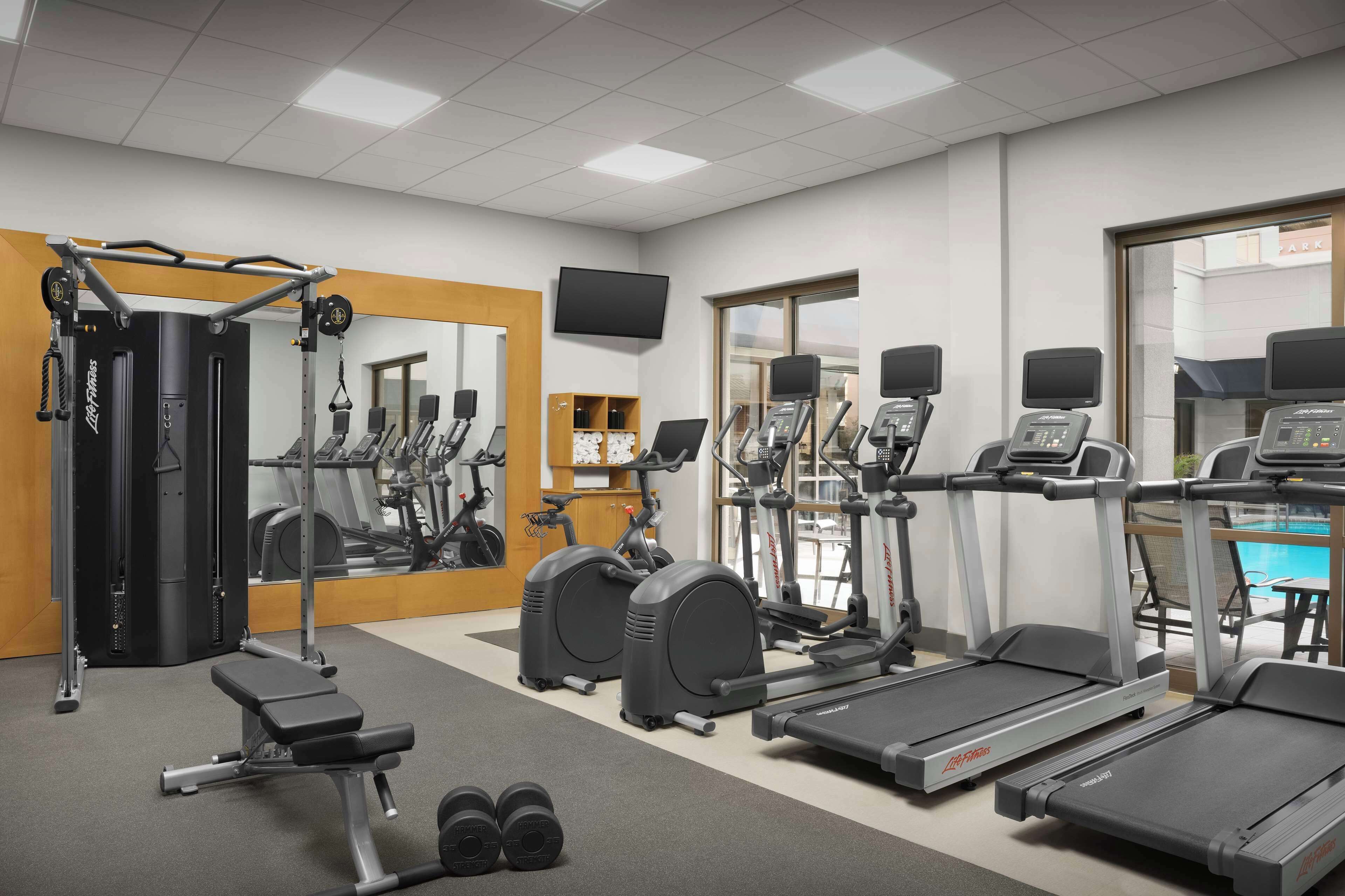 A gym with treadmills, elliptical machines, a weight bench, and free weights.