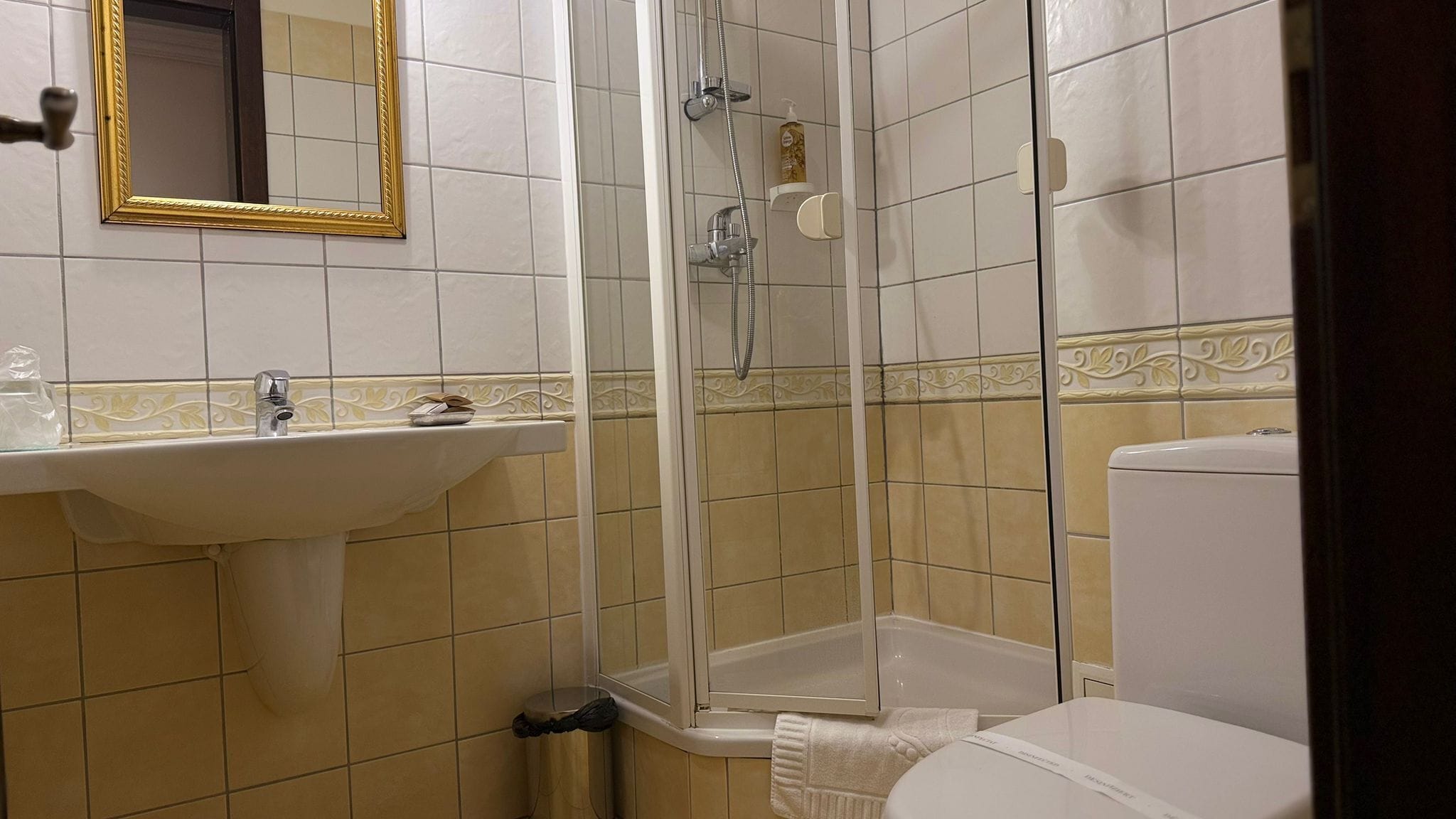 A bathroom with a sink, mirror, shower, and toilet.