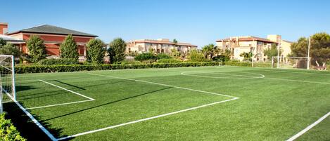 A soccer field with goalposts and a net, surrounded by greenery and buildings.