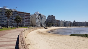 A coastal promenade with a sandy beach, palm trees, and high-rise buildings in the background. - Punta Trouville Hotel (Montevideo)