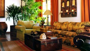 Un salon chaleureux avec un canapé jaune, un canapé à motifs, une table basse en bois agrémentée d’un objet décoratif, un tapis à rayures et une grande plante.