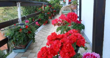 Cinqueterre Holidays