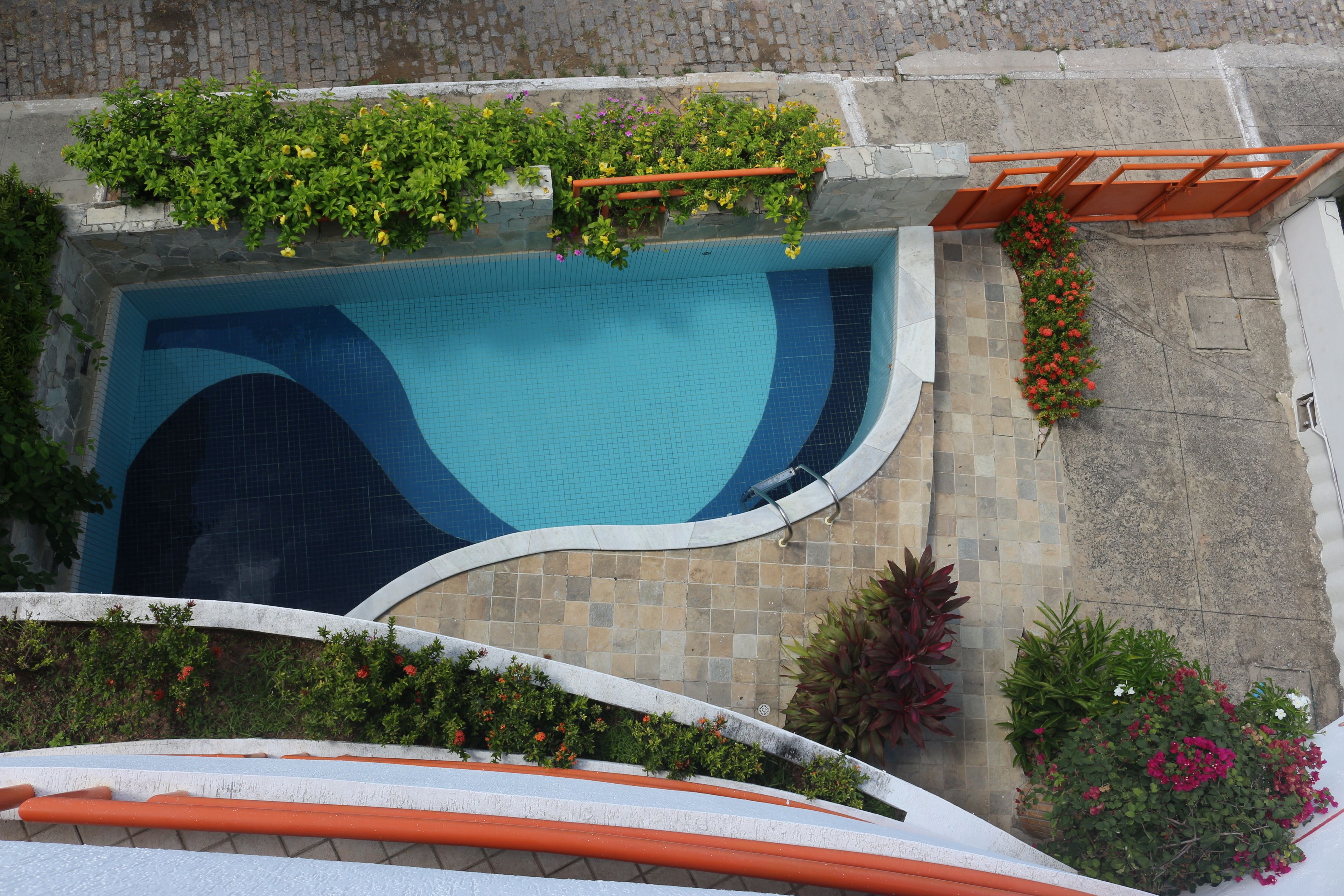 Vista aérea de una piscina rodeada de vegetación y un paseo de baldosas.